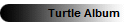 Turtle Album